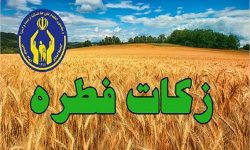 کسب رتبه سوم استان توسط شهرستان کوار در جذب فطریه و کفارات