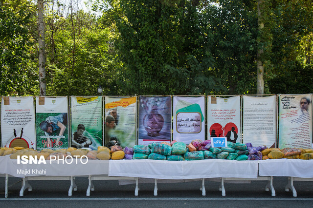 رشد ۱۵ درصدی کشفیات موادمخدر در فارس