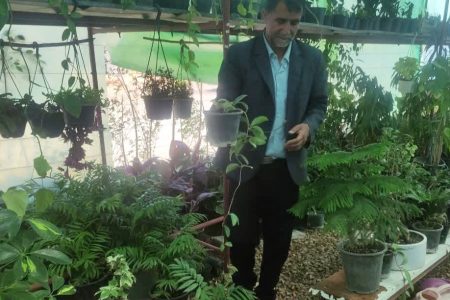 معلمی که پس از بازنشستگی در کسوت تولید گل و گیاه ظاهر می شود
